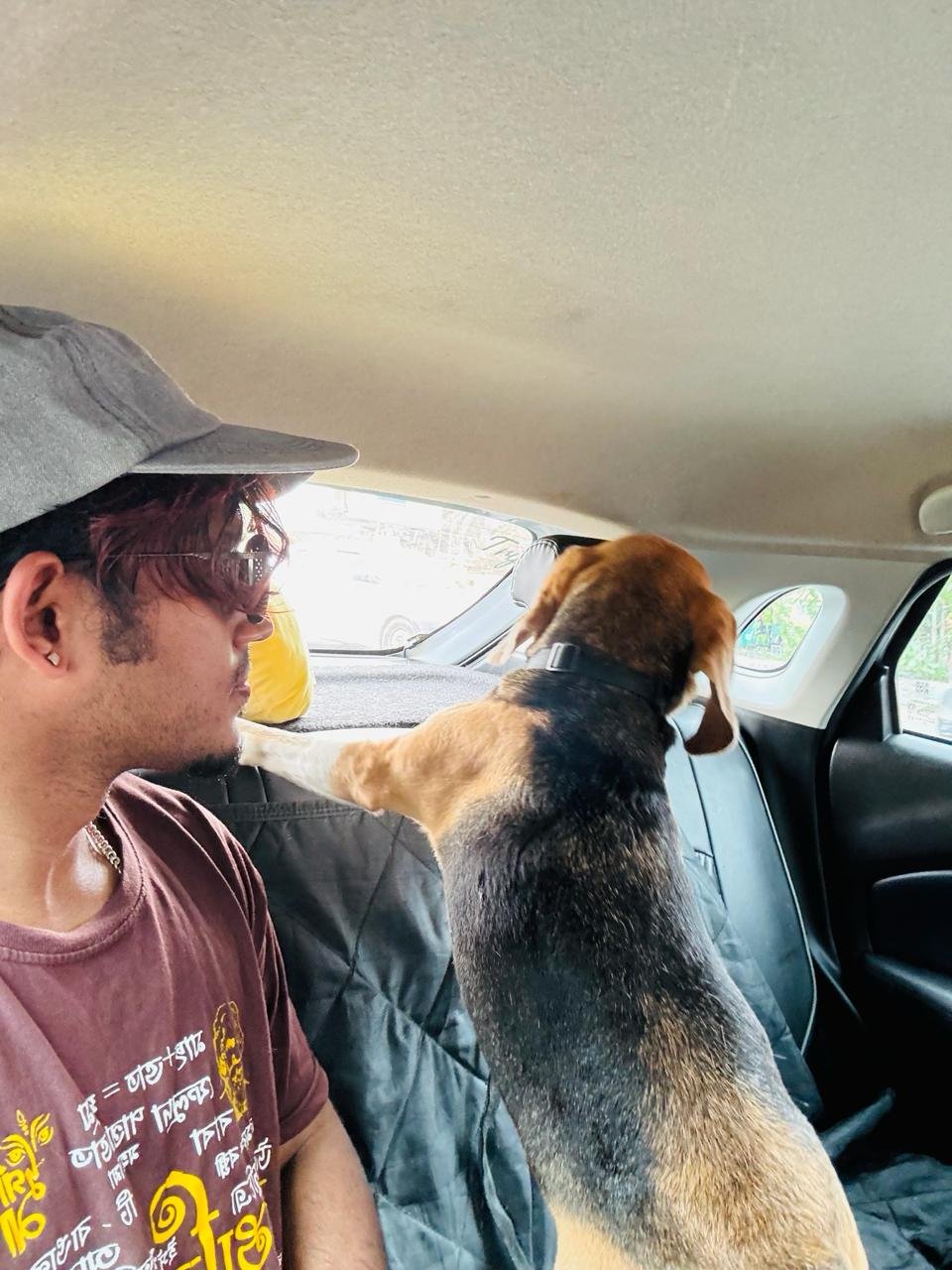 Ida, a real Petroo customer's dog, on a Petroo ride in Kolkata